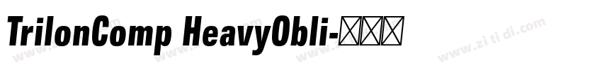 TrilonComp HeavyObli字体转换 TrilonComp HeavyObli字体转换
